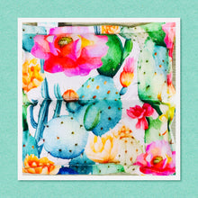 Load image into Gallery viewer, Square Pack - Hot or Cold - Rainbow Succulents