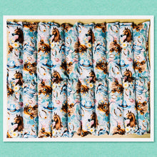 Load image into Gallery viewer, Mega Pack - Hot or Cold - Country Dreaming