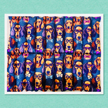 Load image into Gallery viewer, Mega Pack - Hot or Cold - Barney & Fred